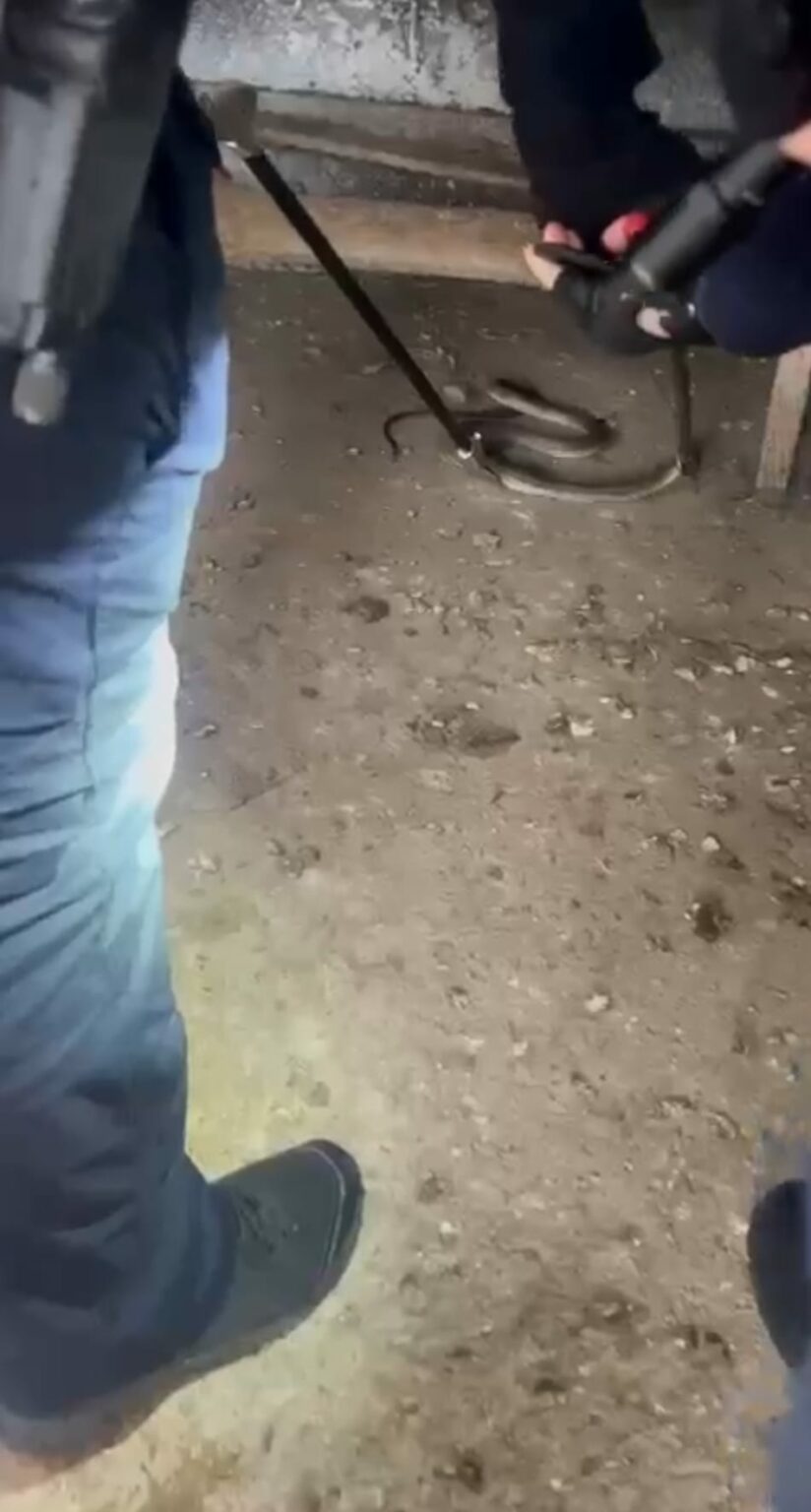 WhatsApp Image 2024-04-17 at 17.06.14 - Jurnalul Olteniei – Știri din Craiova și Oltenia