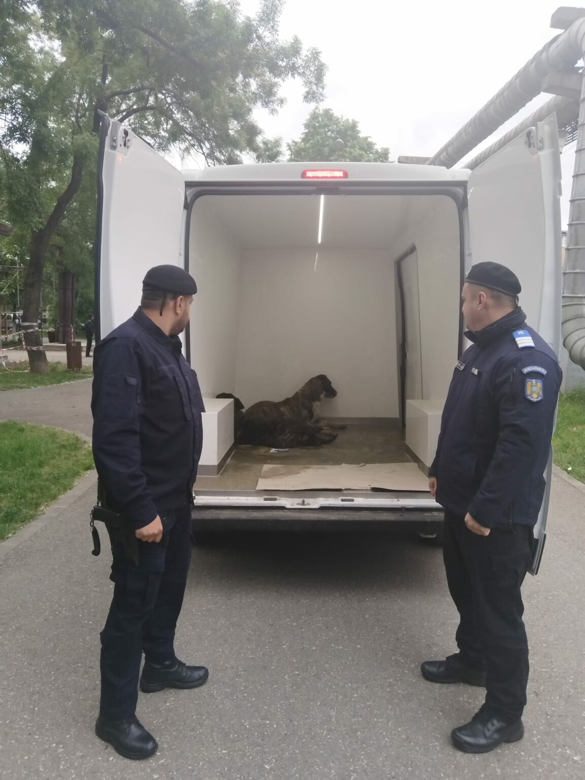 - Jurnalul Olteniei – Știri din Craiova și Oltenia