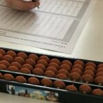 Foto: Facebook/ Soroban Aritmetica Mentală Moldova