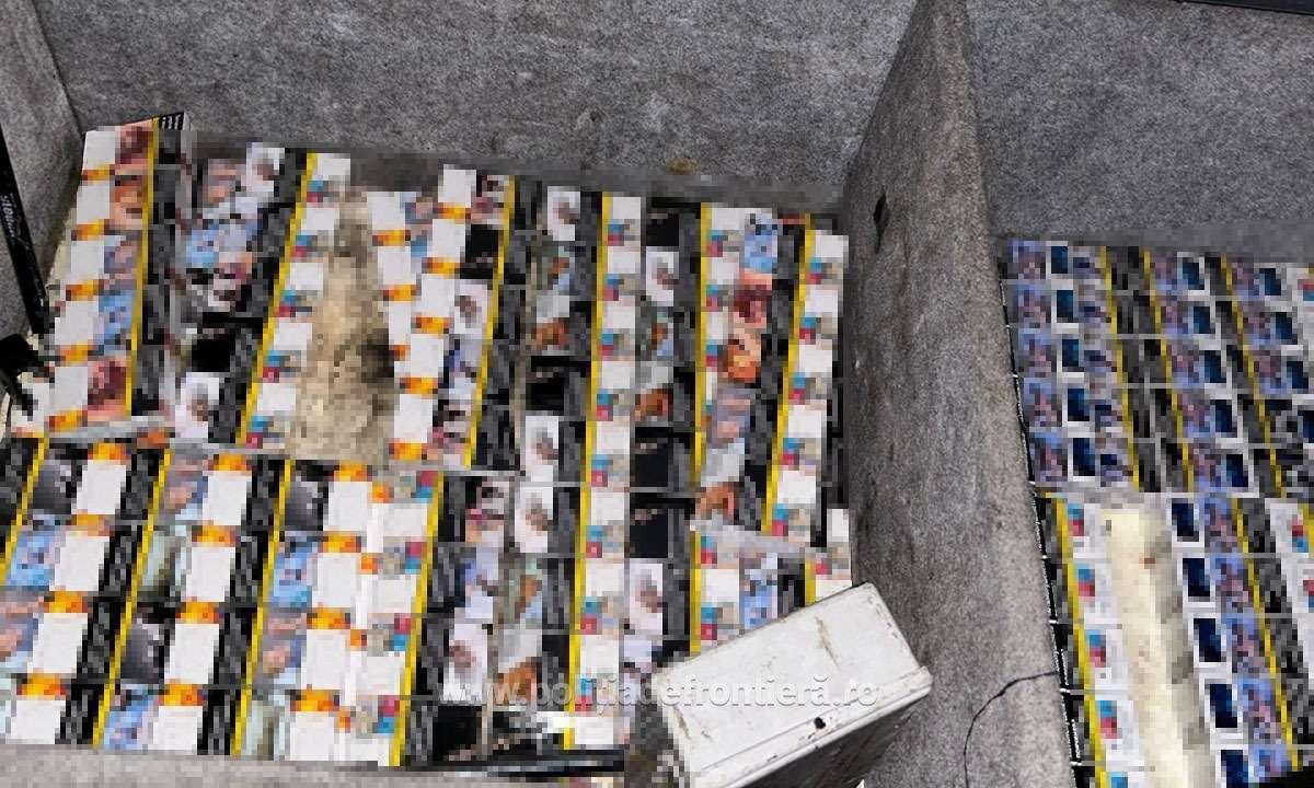 - Jurnalul Olteniei – Știri din Craiova și Oltenia