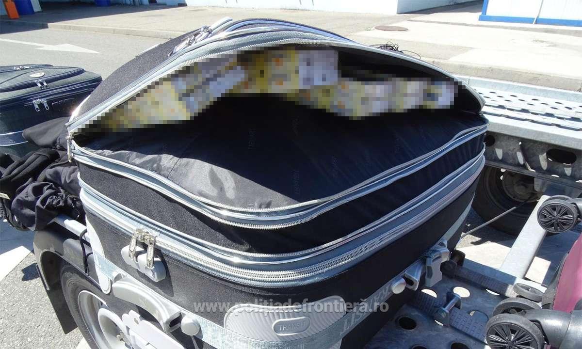 - Jurnalul Olteniei – Știri din Craiova și Oltenia