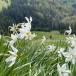 Foto: Facebook/Romsilva - Parcul National Muntii Rodnei