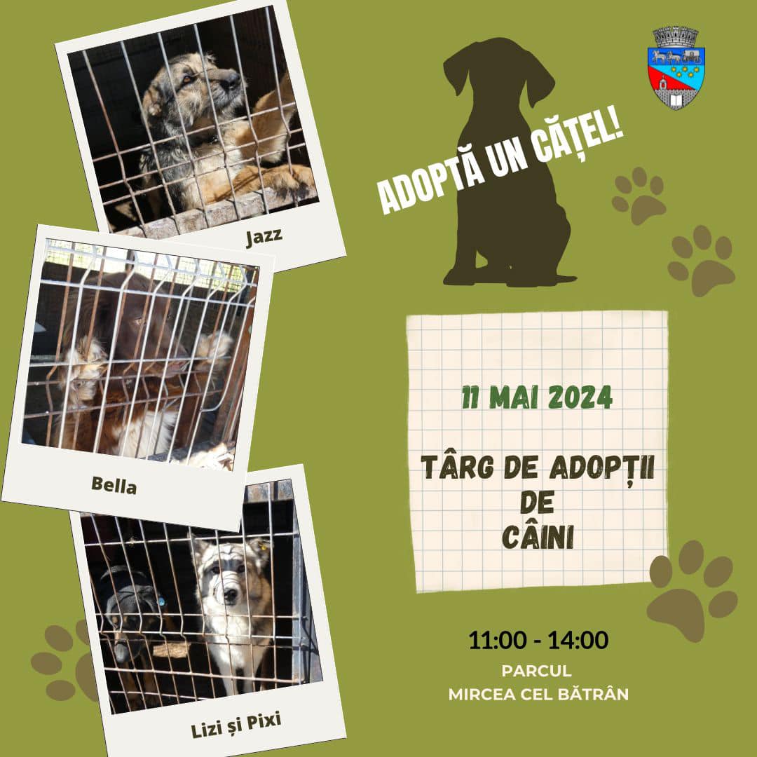 438162593_792983559592113_7117146608513205074_n - Jurnalul Olteniei – Știri din Craiova și Oltenia