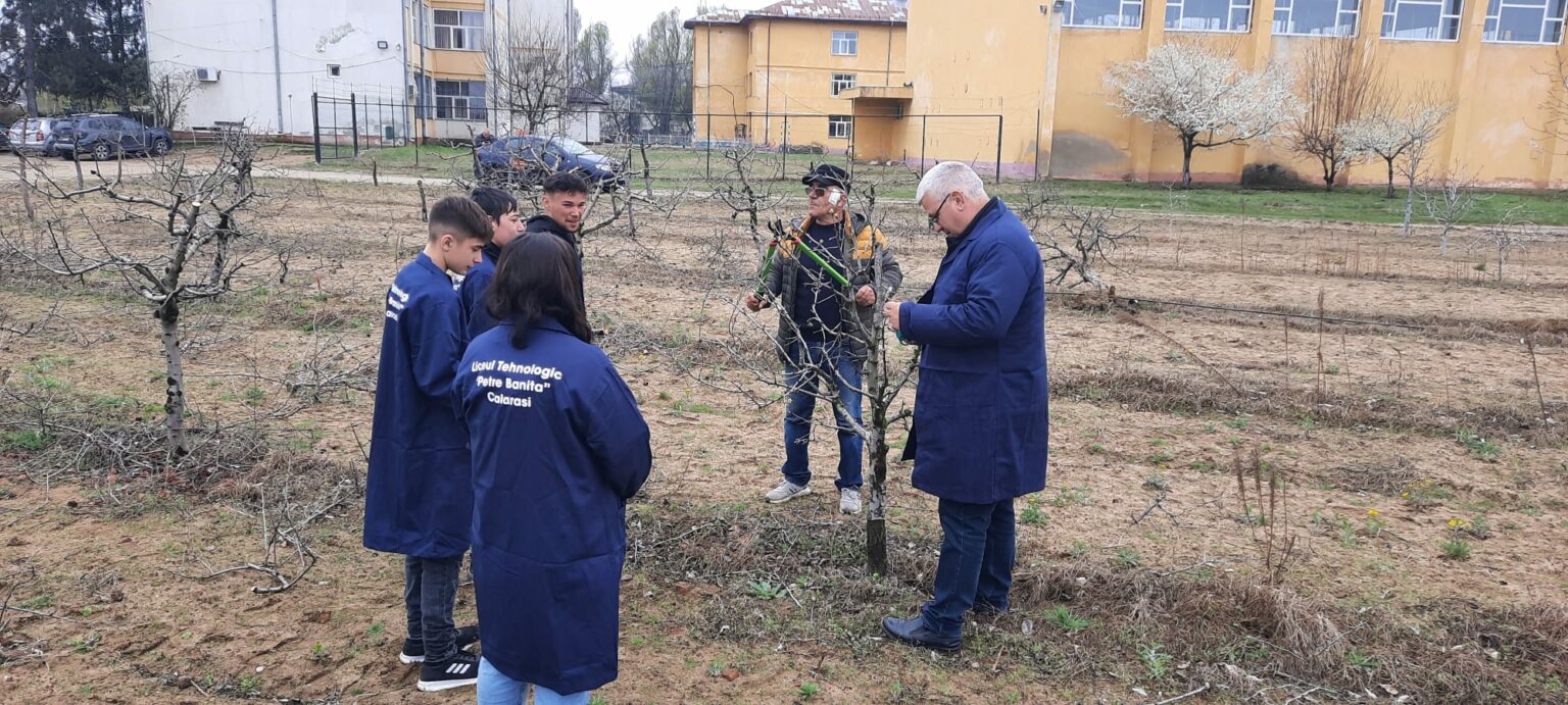 Liceul_Petre_Banita_Calarasi - Jurnalul Olteniei – Știri din Craiova și Oltenia