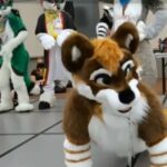 Foto: captură video