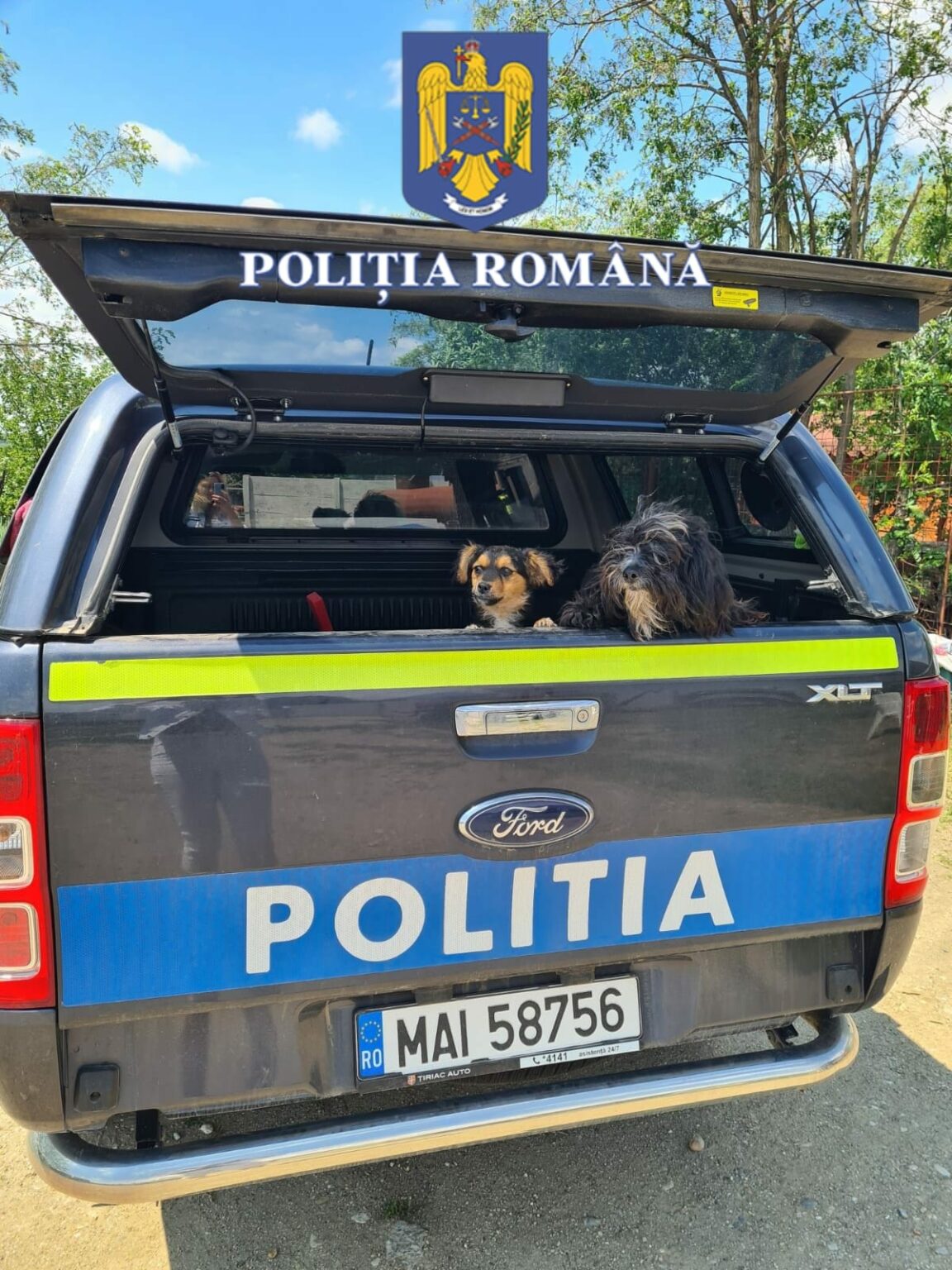 - Jurnalul Olteniei – Știri din Craiova și Oltenia