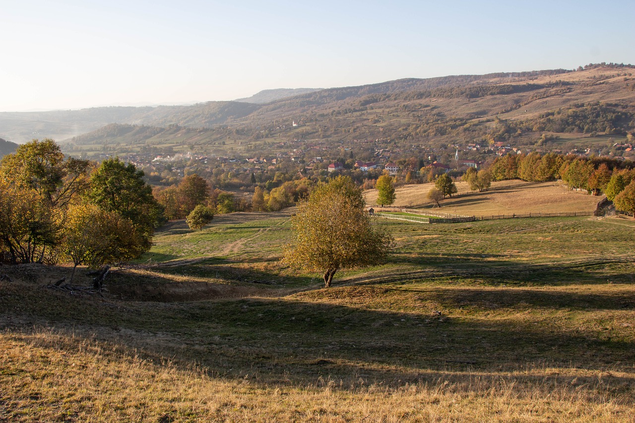 Foto: pixabay.com - Jurnalul Olteniei – Știri din Craiova și Oltenia Foto: pixabay.com