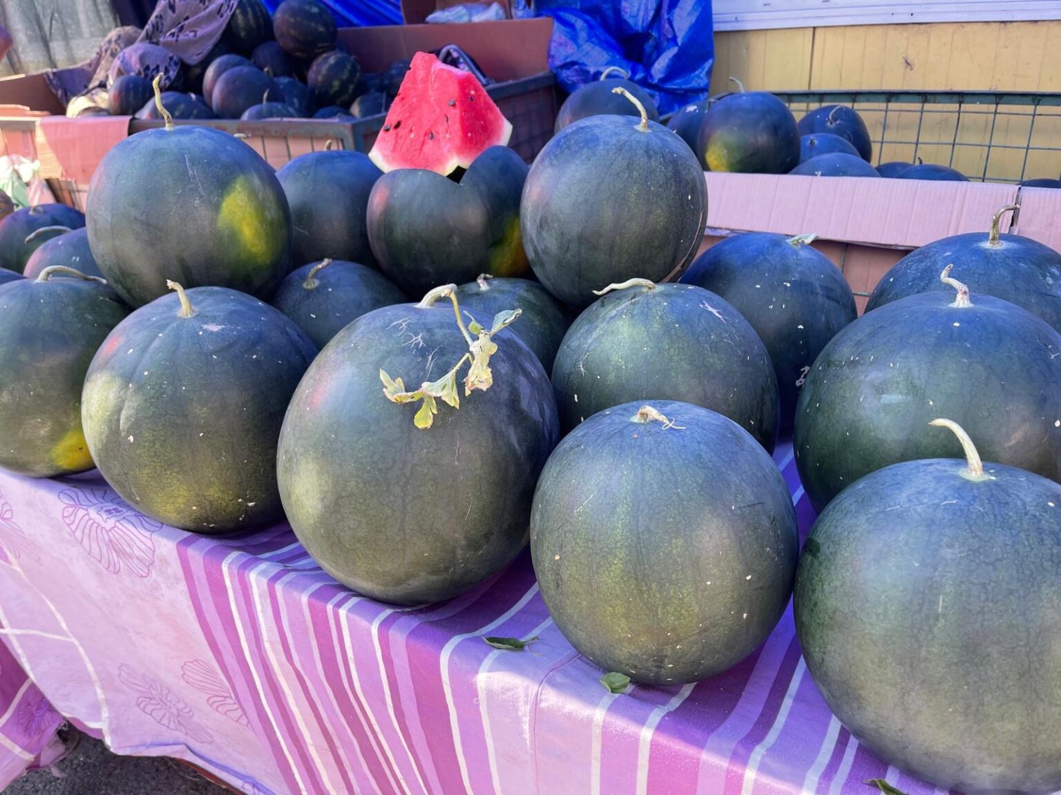 6e9a8cc9-1f14-4490-a405-ca0791c4ff49 - Jurnalul Olteniei – Știri din Craiova și Oltenia