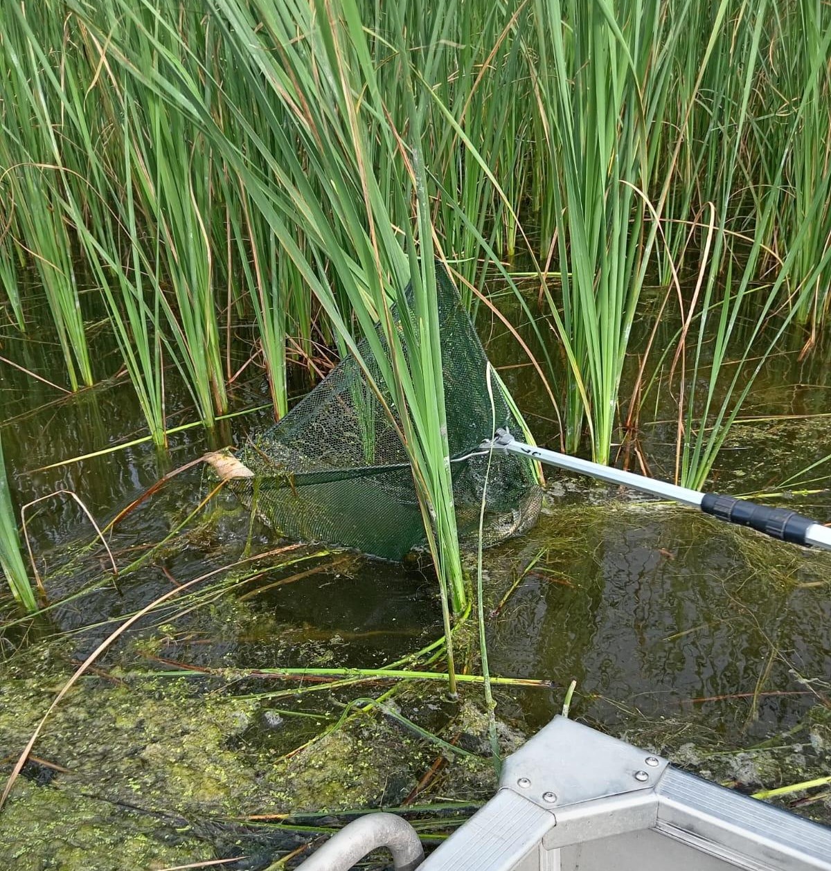 - Jurnalul Olteniei – Știri din Craiova și Oltenia