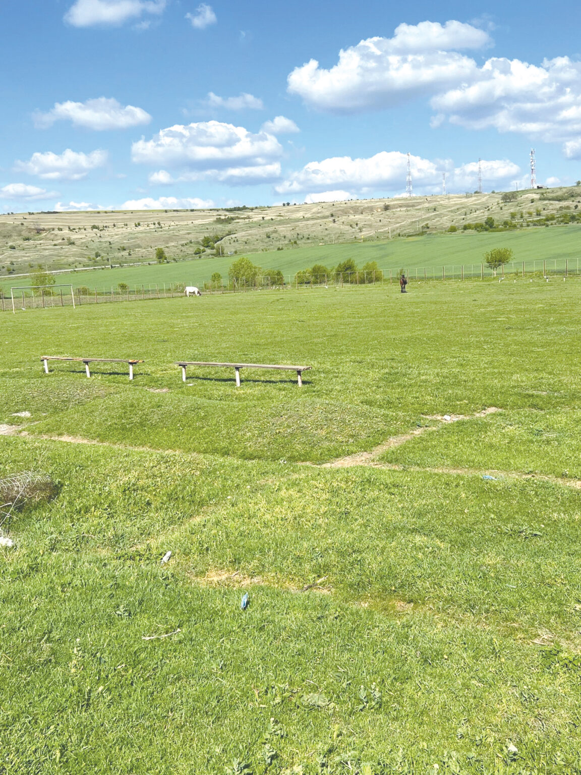 teren - Jurnalul Olteniei – Știri din Craiova și Oltenia