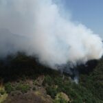 Foto: Facebook/Regia Nationala a Padurilor - Romsilva