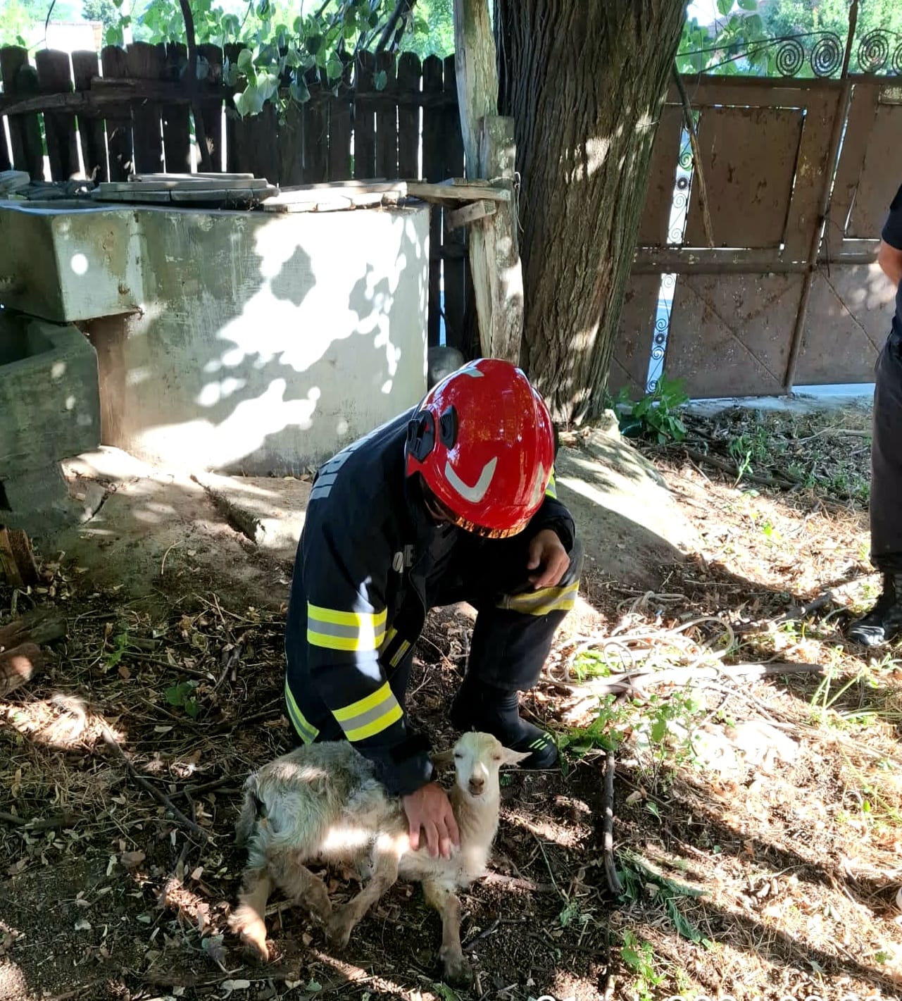 - Jurnalul Olteniei – Știri din Craiova și Oltenia