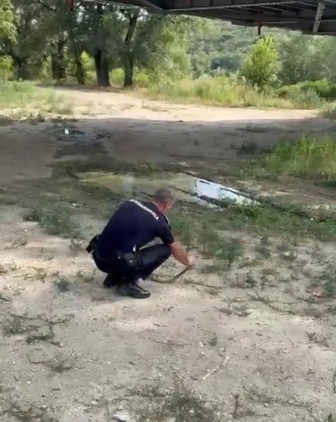 Oplus_131072 - Jurnalul Olteniei – Știri din Craiova și Oltenia