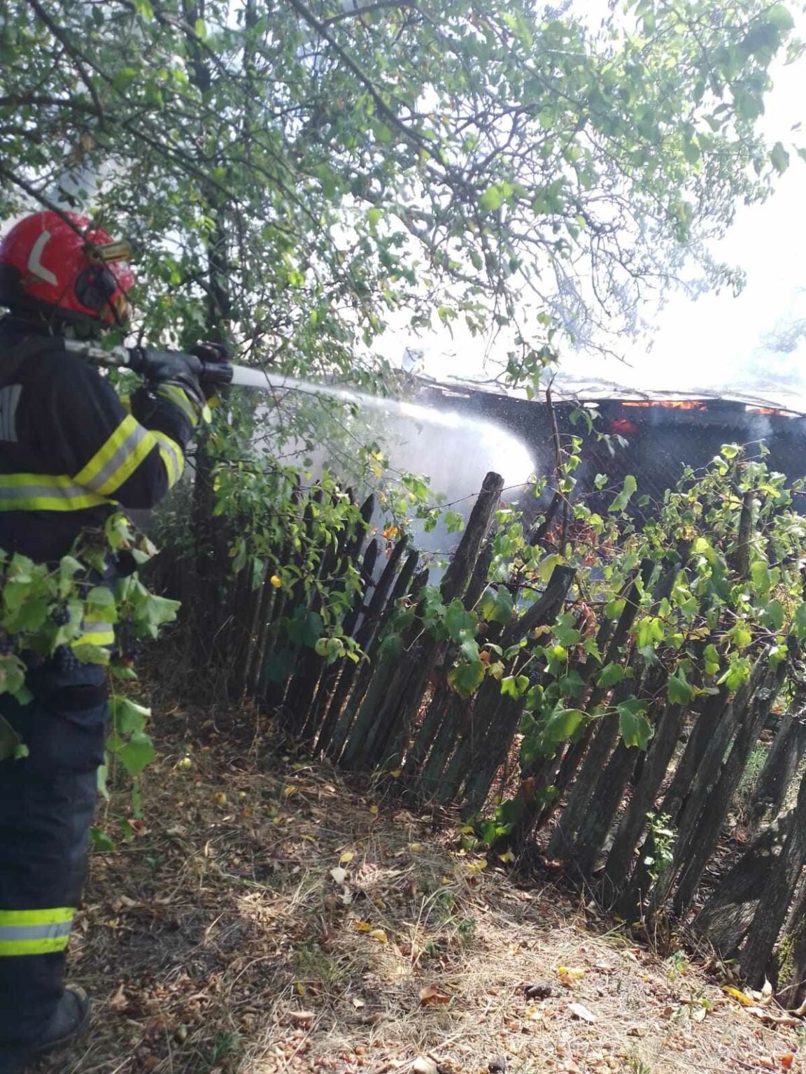 454518924_1168136547630505_337629338878001985_n - Jurnalul Olteniei – Știri din Craiova și Oltenia