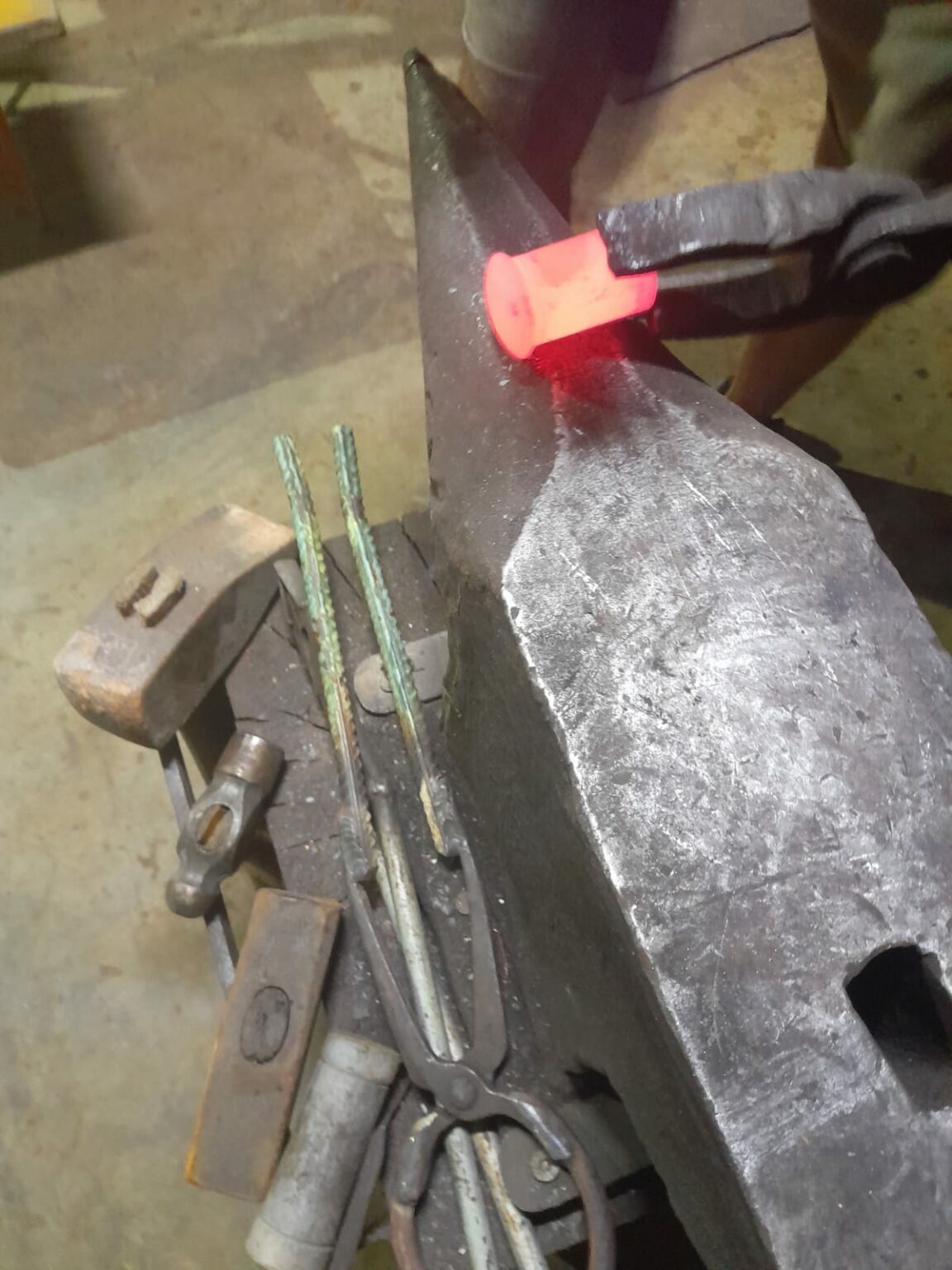 454739845_903450915156812_9185415723141869235_n - Jurnalul Olteniei – Știri din Craiova și Oltenia