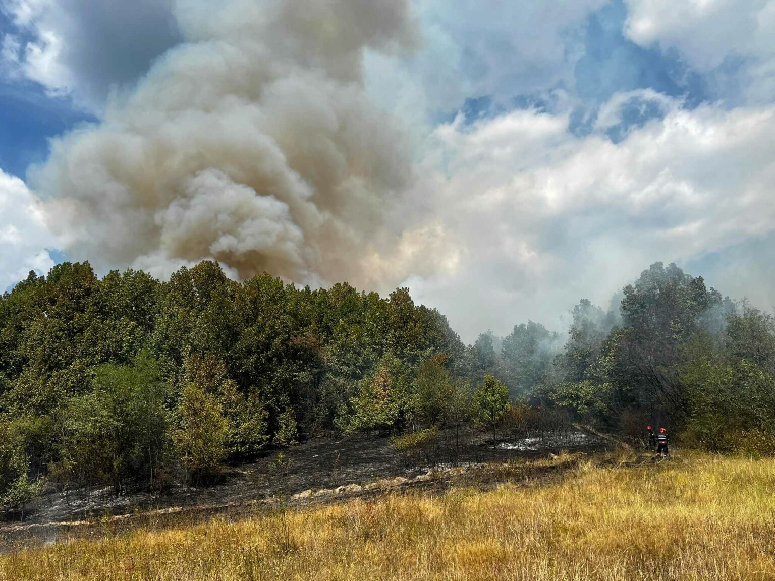 455715361_430810506631020_6728102776678101861_n - Jurnalul Olteniei – Știri din Craiova și Oltenia