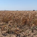 Foto: Facebook/Meteoplus