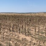 Foto: Facebook/Meteoplus