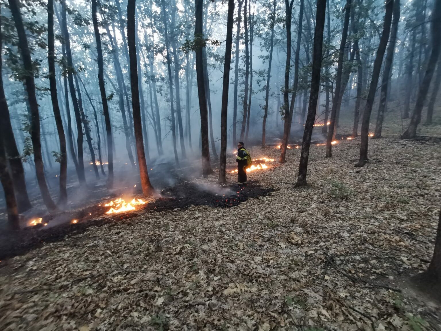- Jurnalul Olteniei – Știri din Craiova și Oltenia