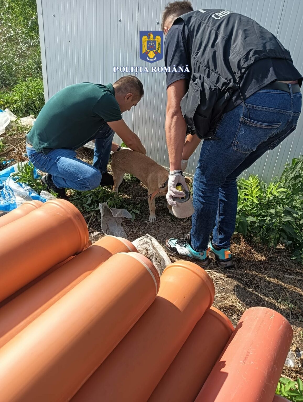 - Jurnalul Olteniei – Știri din Craiova și Oltenia