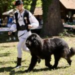 Foto: Facebook/Asociatia Chinologica Romana - Romanian Kennel Club