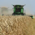 Foto: Facebook/Cerealcom Dolj