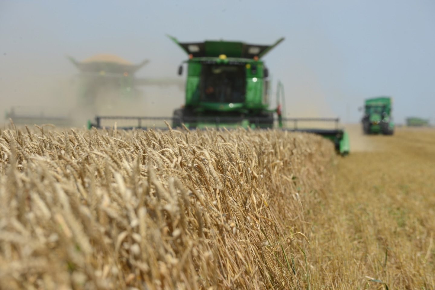 Foto: Facebook/Cerealcom Dolj - Jurnalul Olteniei – Știri din Craiova și Oltenia Foto: Facebook/Cerealcom Dolj