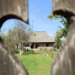 Foto: Facebook/DiscoverPeștișani