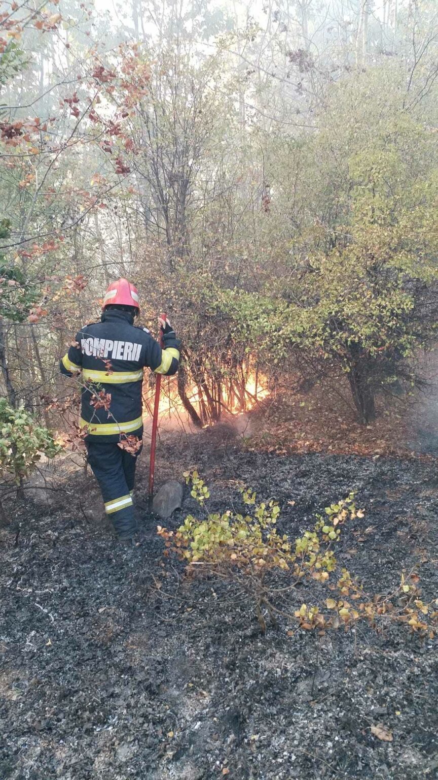 458703100_936447981627198_5810138780116306708_n - Jurnalul Olteniei – Știri din Craiova și Oltenia
