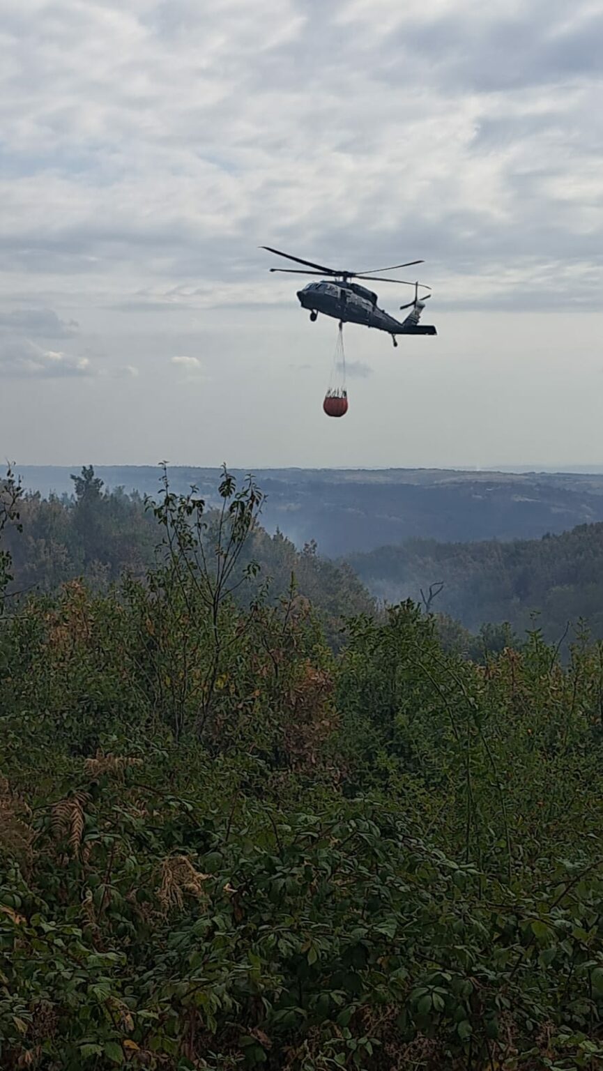 IMG-20240907-WA0004 - Jurnalul Olteniei – Știri din Craiova și Oltenia