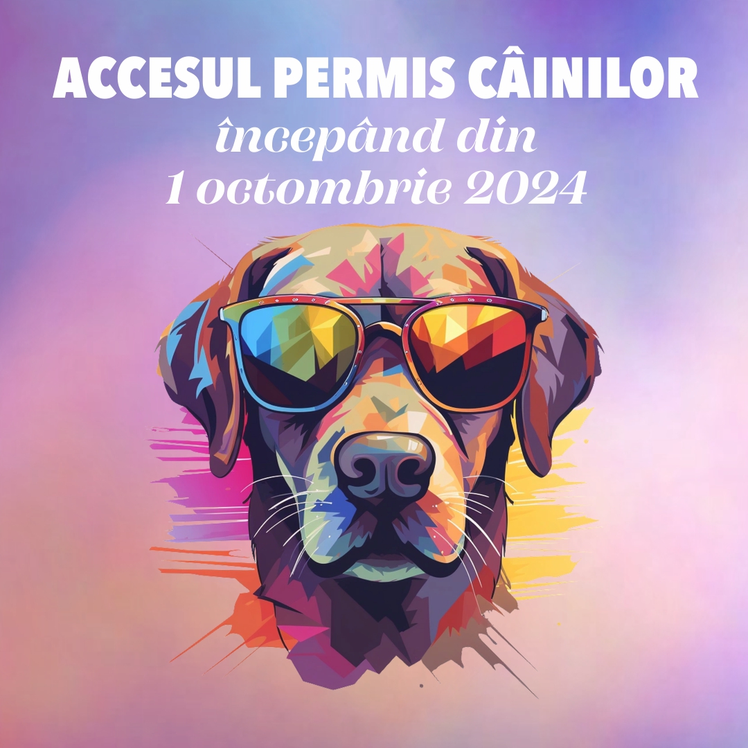 Promenada Craiova devine pet-friendly - Jurnalul Olteniei – Știri din Craiova și Oltenia