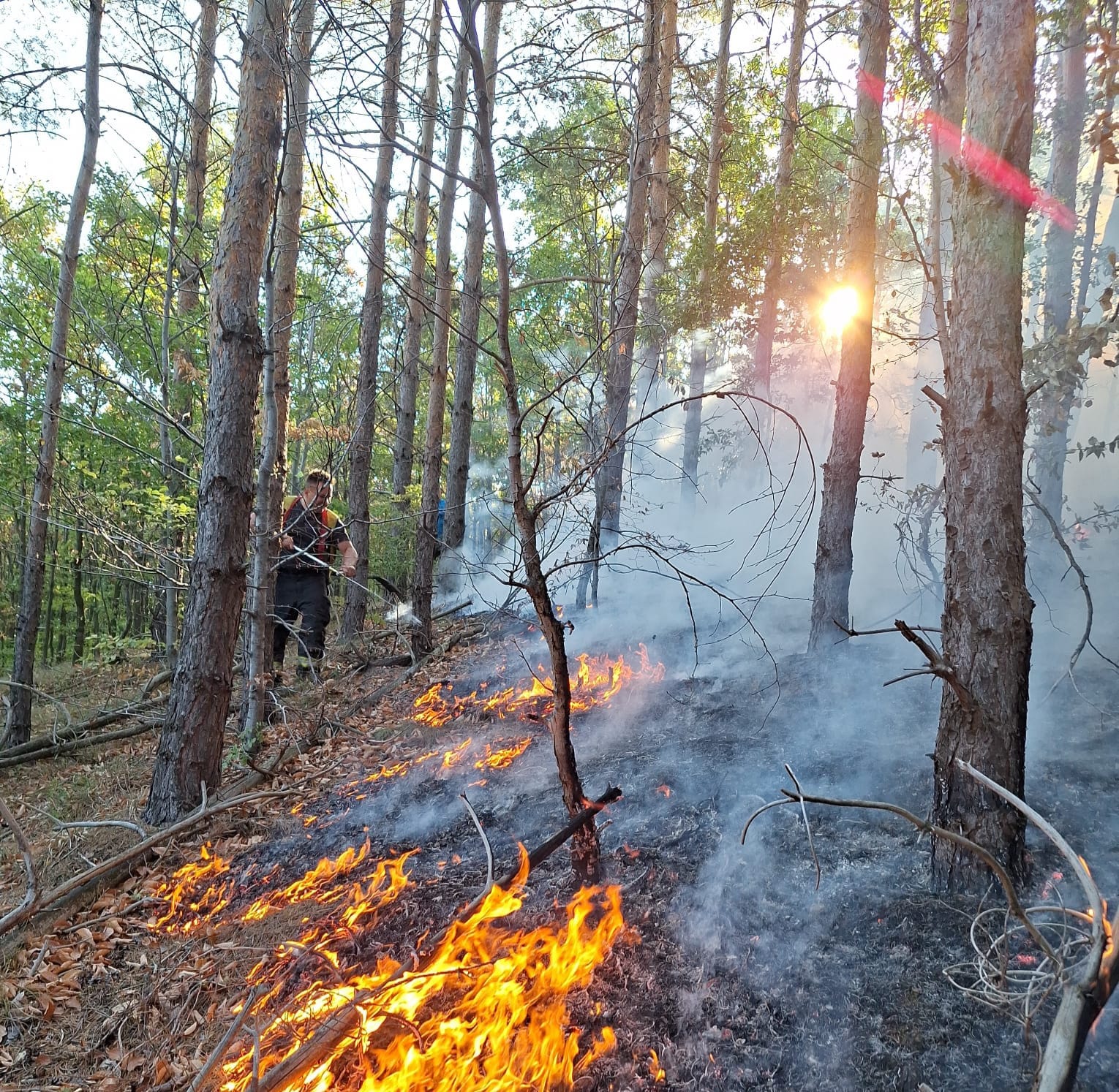 WhatsApp Image 2024-09-01 at 18.48.03 - Jurnalul Olteniei – Știri din Craiova și Oltenia
