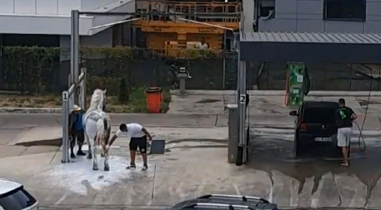 - Jurnalul Olteniei – Știri din Craiova și Oltenia