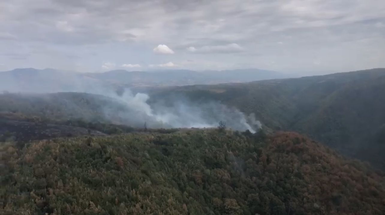 - Jurnalul Olteniei – Știri din Craiova și Oltenia