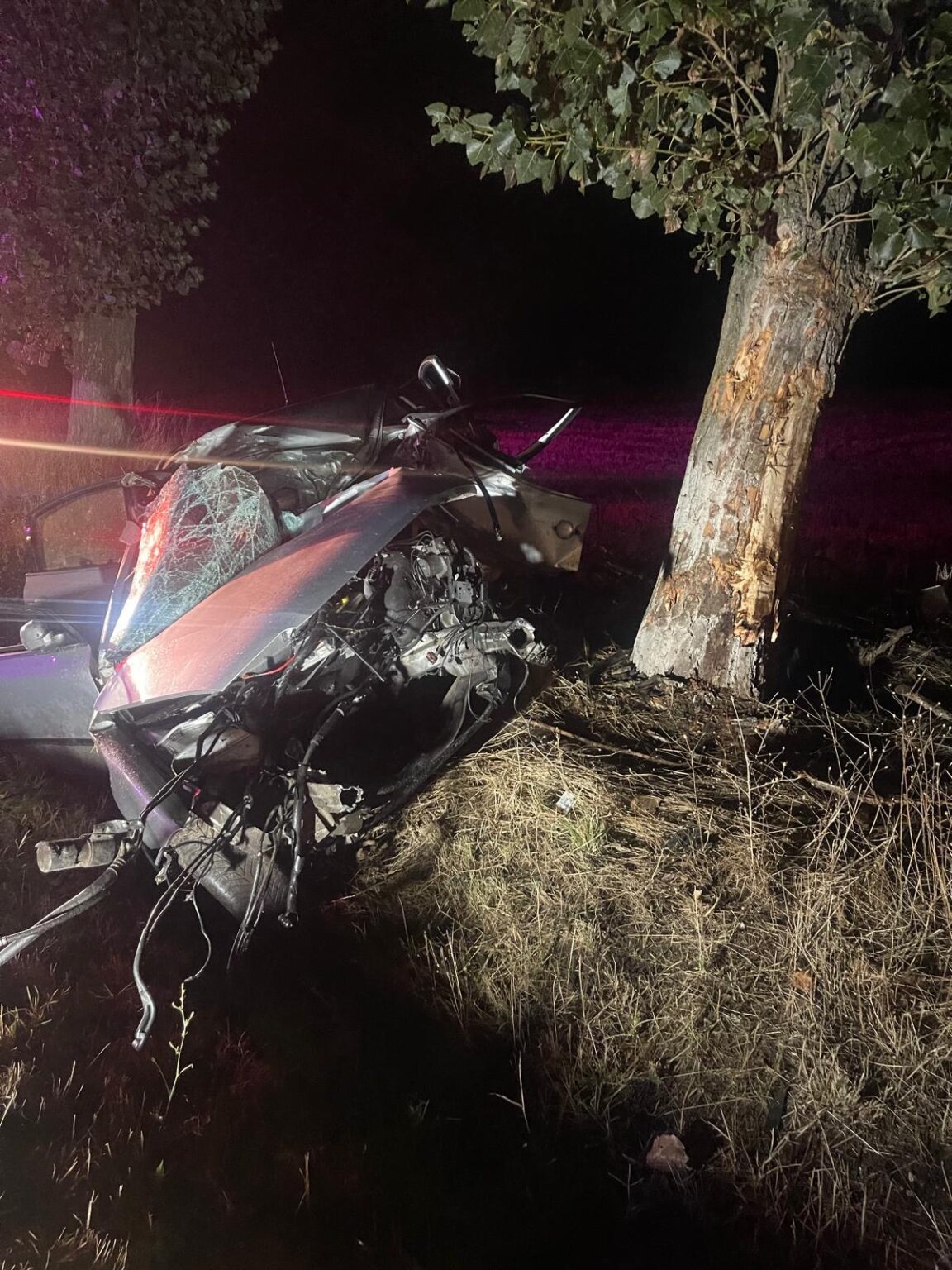 a00e9981-cc01-4a4a-998d-32e031010098 - Jurnalul Olteniei – Știri din Craiova și Oltenia