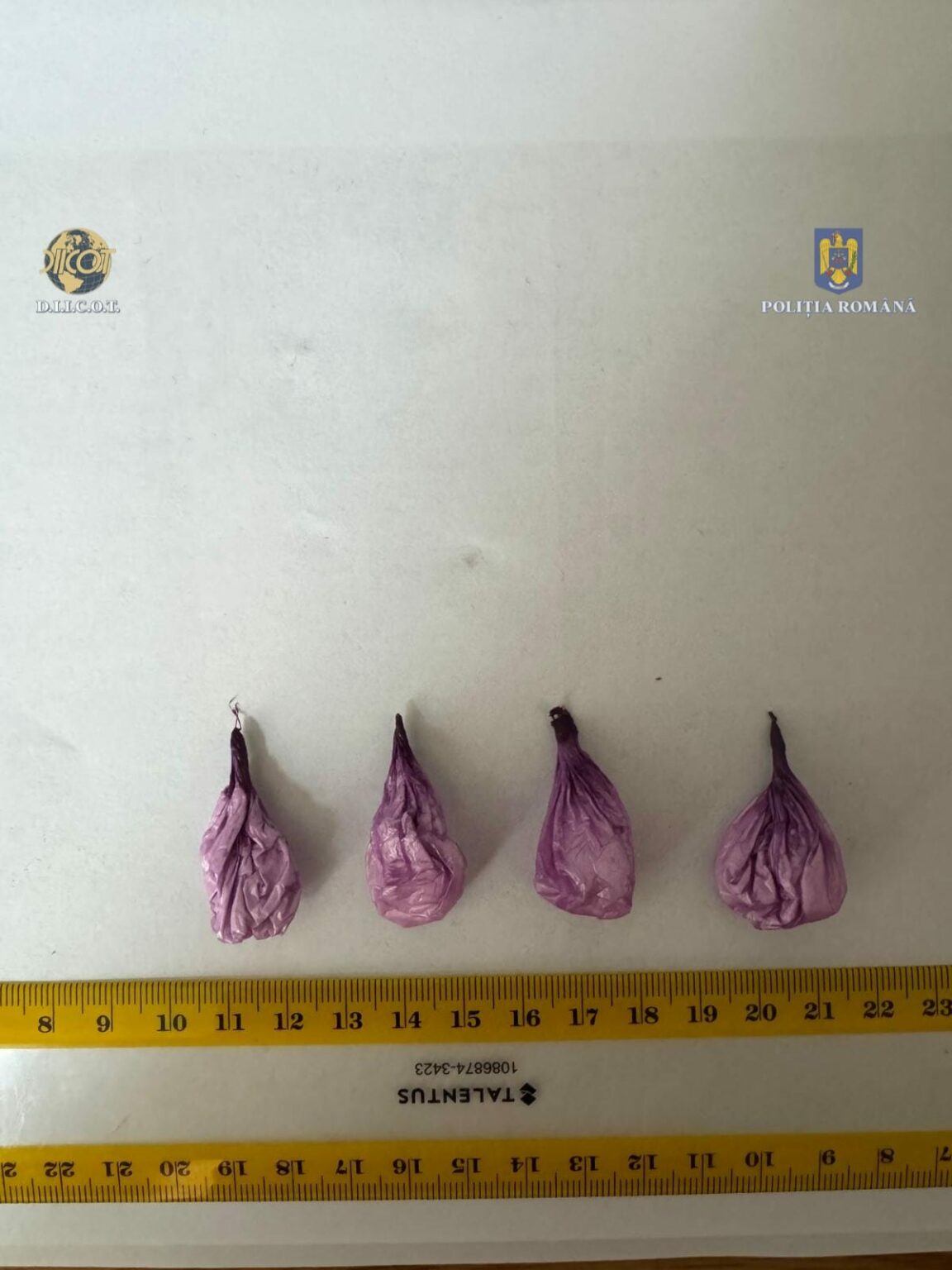 WhatsApp Image 2024-10-11 at 12.10.54 - Jurnalul Olteniei – Știri din Craiova și Oltenia