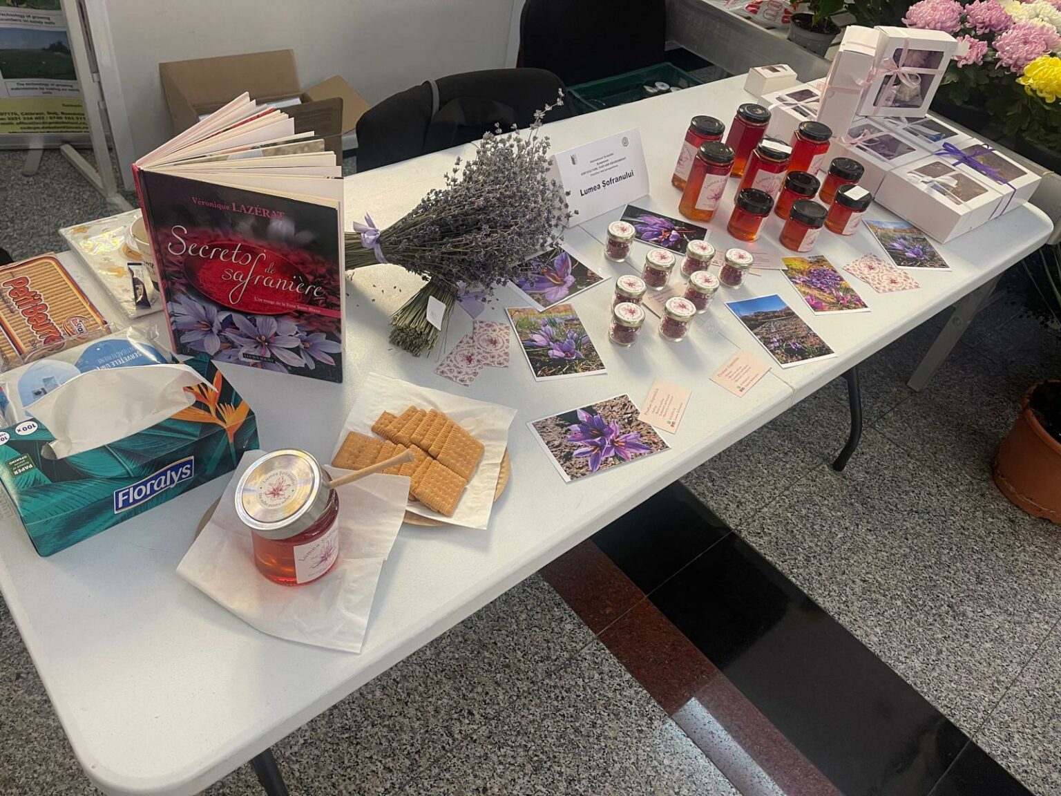 - Jurnalul Olteniei – Știri din Craiova și Oltenia