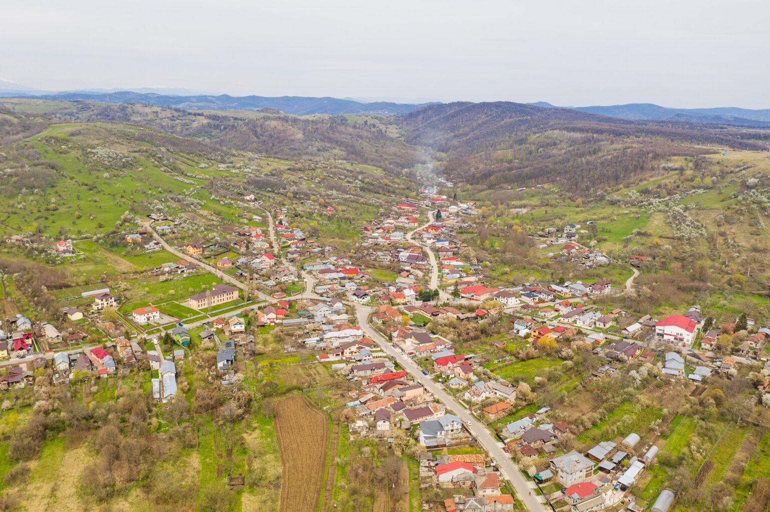 Foto: Facebook/ Primaria Aninoasa