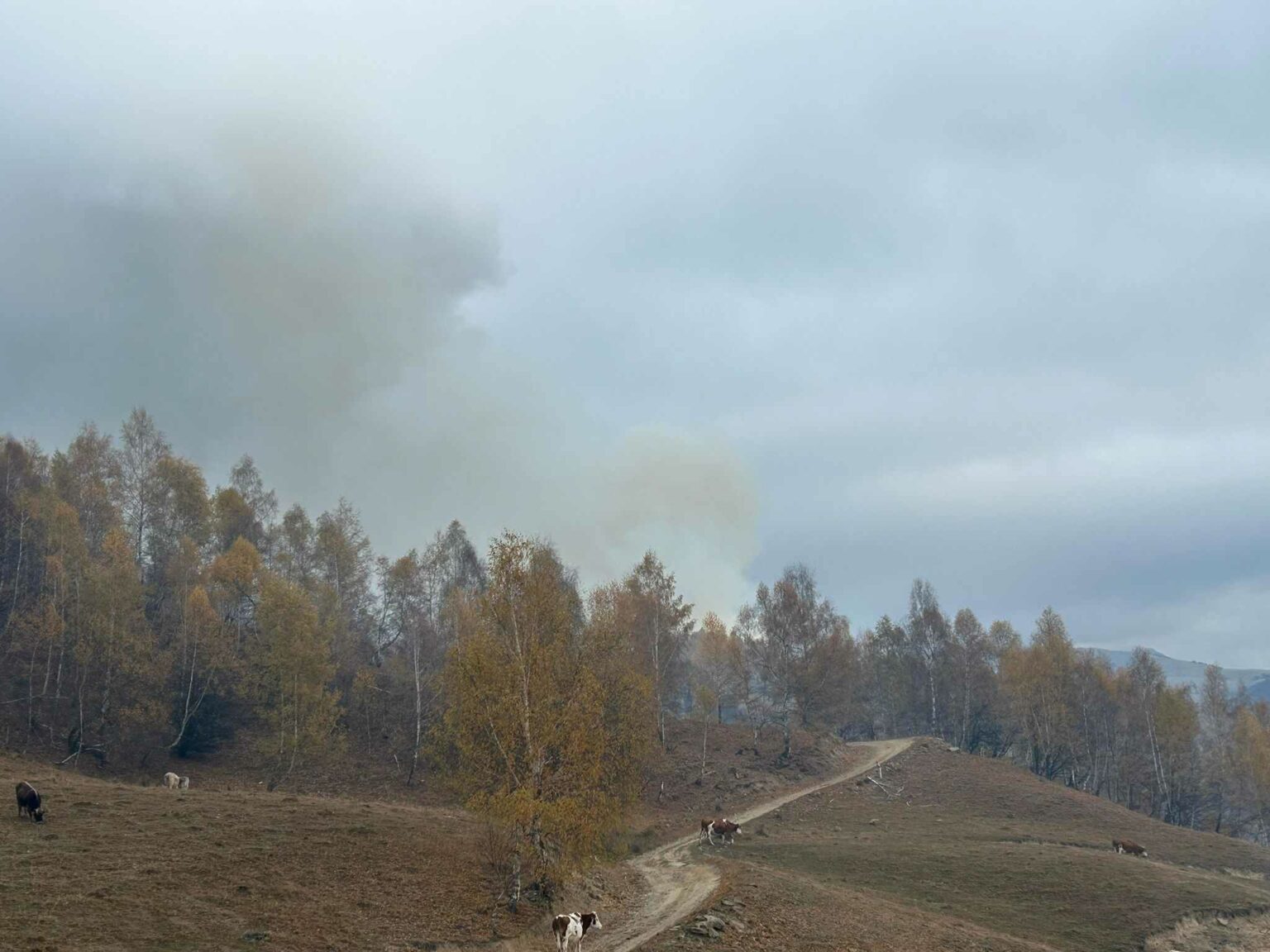 462581389_985017433436447_6136481842852783096_n - Jurnalul Olteniei – Știri din Craiova și Oltenia