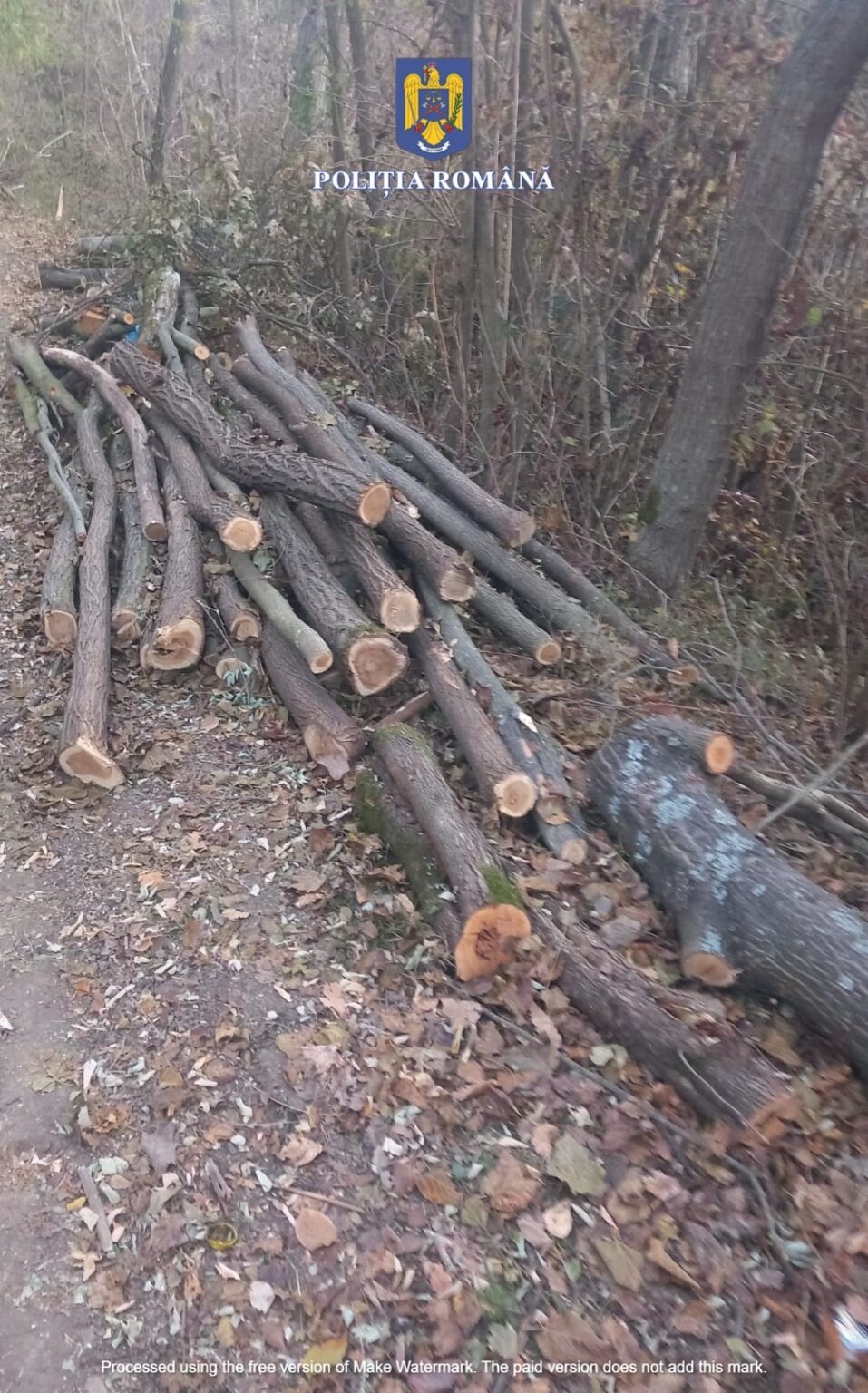 4d8ea051-eafb-4268-856a-b4ce15f11d83 - Jurnalul Olteniei – Știri din Craiova și Oltenia