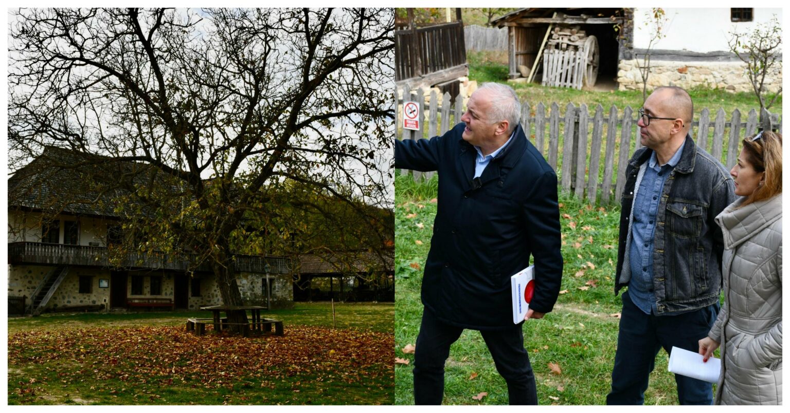 PSX_20241106_145524 - Jurnalul Olteniei – Știri din Craiova și Oltenia