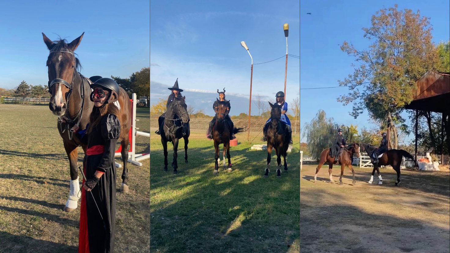 WhatsApp Image 2024-11-01 at 12.25.11 - Jurnalul Olteniei – Știri din Craiova și Oltenia