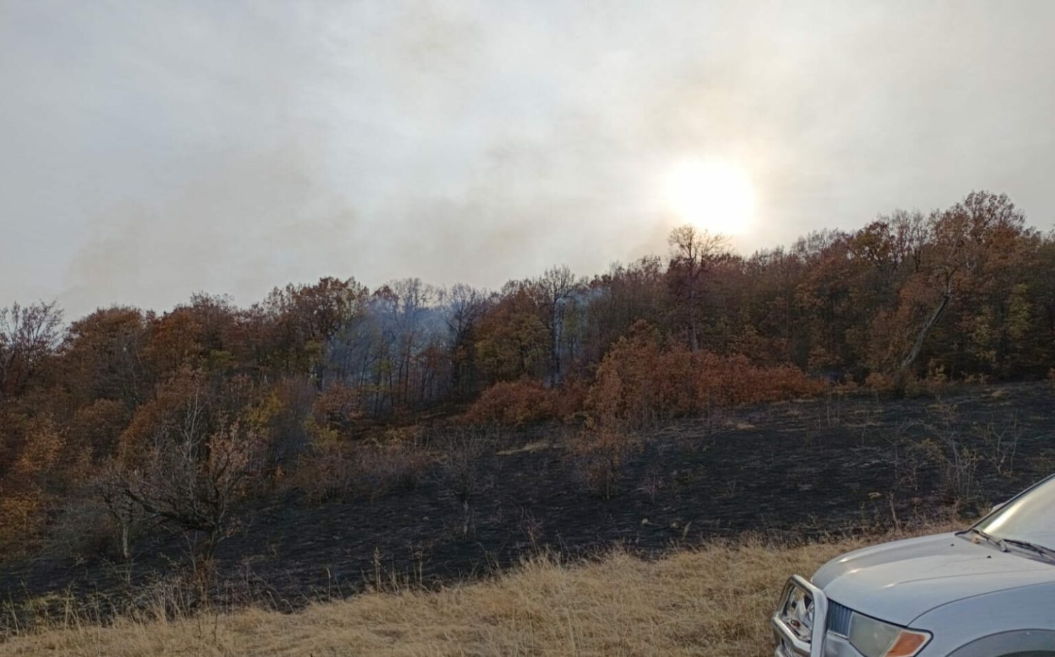 - Jurnalul Olteniei – Știri din Craiova și Oltenia