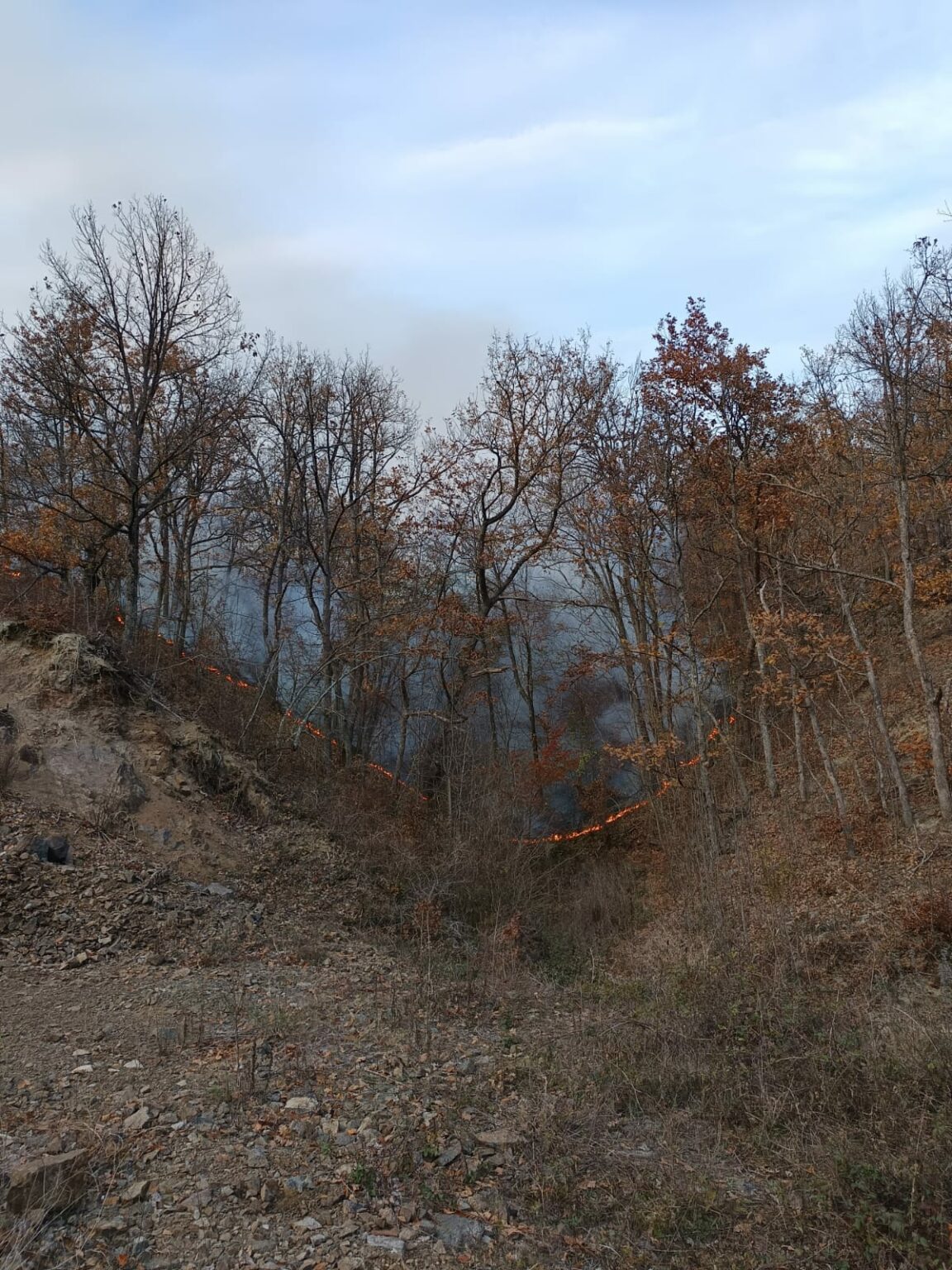 - Jurnalul Olteniei – Știri din Craiova și Oltenia