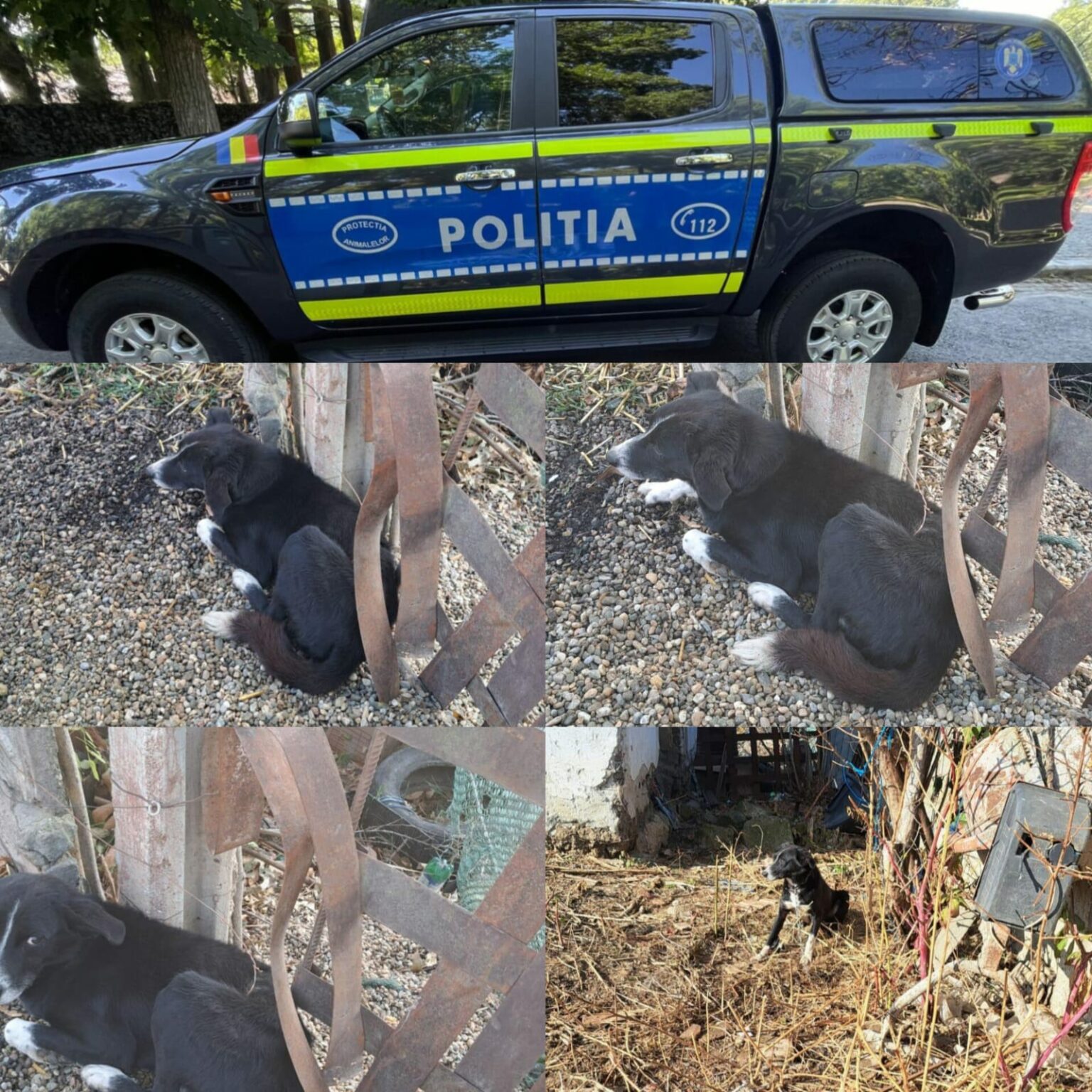 WhatsApp Image 2024-11-20 at 10.15.26_fc9da8d5 - Jurnalul Olteniei – Știri din Craiova și Oltenia