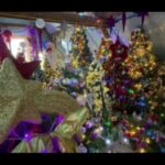 Foto: Captură video