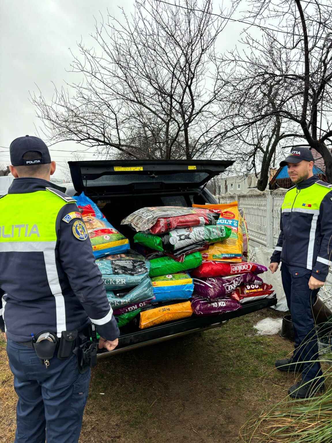 f2e2caff-9246-4982-b05d-d810aa820824 - Jurnalul Olteniei – Știri din Craiova și Oltenia