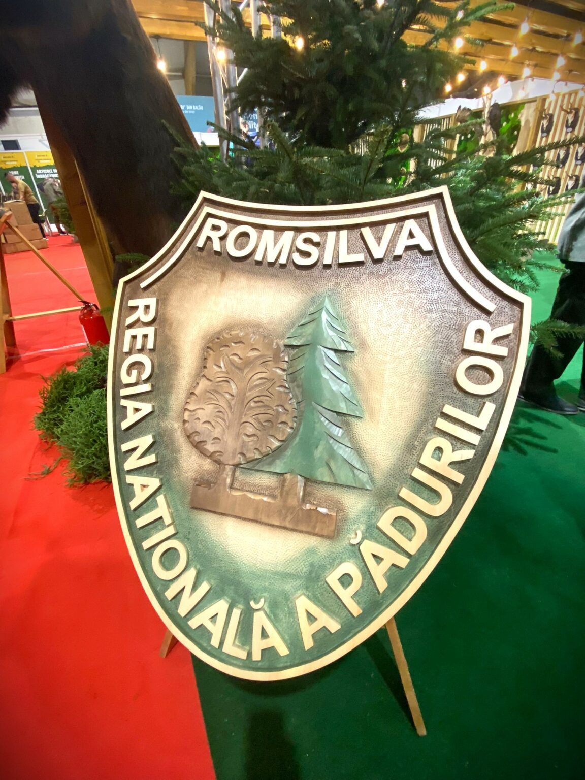 Foto: Facebook/ Regia Nationala a Padurilor - Romsilva