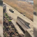 Foto: Captură video/ Facebook/ Mircia Gutău