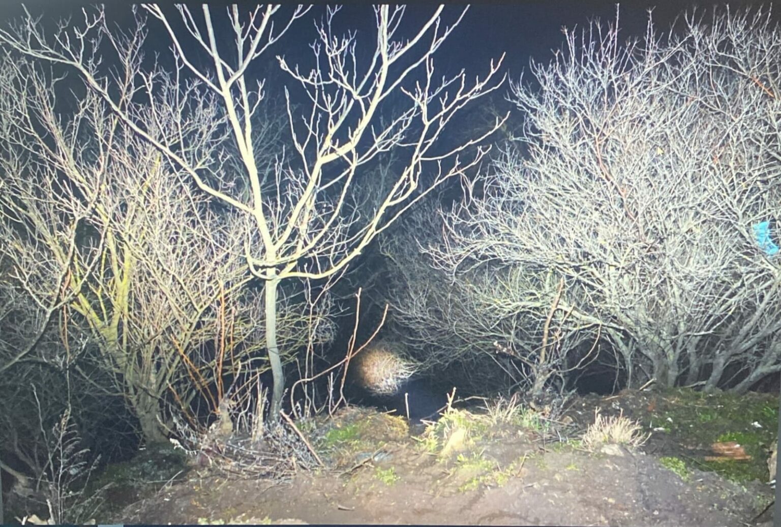 - Jurnalul Olteniei – Știri din Craiova și Oltenia